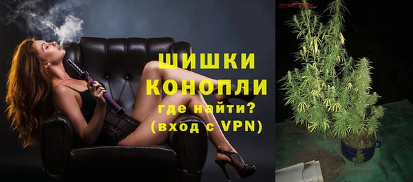 индика Белокуриха