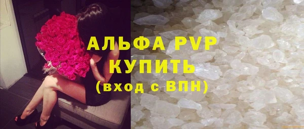 индика Белокуриха