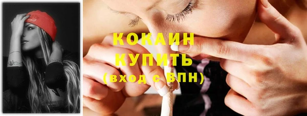 индика Белокуриха