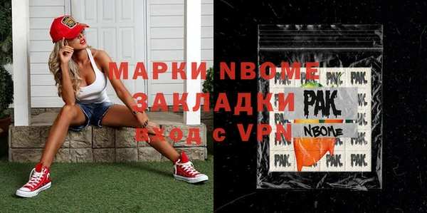 индика Белокуриха