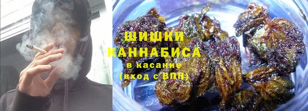 стаф Беломорск