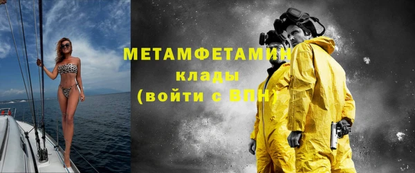 индика Белокуриха