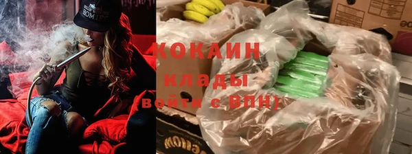 индика Белокуриха
